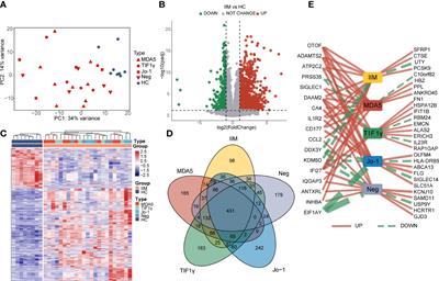 Type 1 interferon signature in peripheral blood mononuclear cells and monocytes of idiopathic inflammatory myopathy patients with different myositis-specific autoantibodies